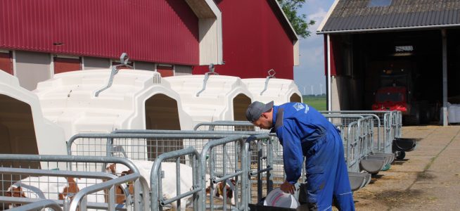 Lakeside Holsteins, Zeewolde, (NL)